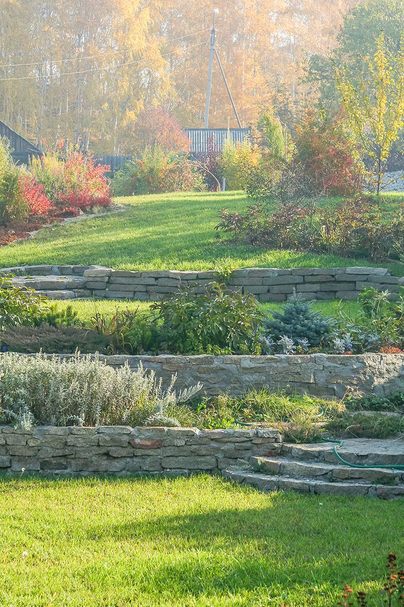 Ein terrassenförmiger Garten von Maimann Gartengestaltung besteht aus Steinmauern und grünem Gras, mit verschiedenen Sträuchern und Pflanzen. Im Hintergrund sind Bäume mit herbstlichem Laub und eine Holzkonstruktion im weichen Sonnenlicht zu sehen.