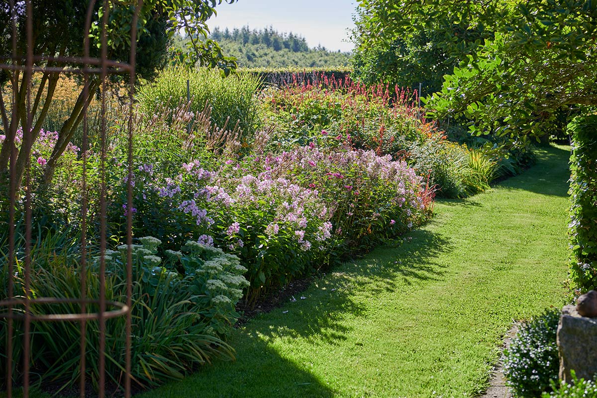 Ein üppiger Garten von Maimann Gartengestaltung zeigt einen geschwungenen grünen Rasen, der von dichten Blumenbeeten mit blühenden rosa, violetten und roten Blumen unter einem sonnigen Himmel umgeben ist. Bäume und Sträucher spenden Schatten und verleihen der lebendigen Szene Tiefe.