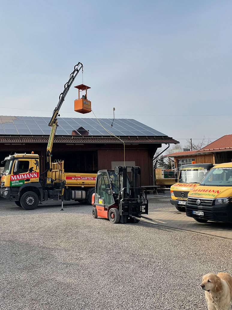 Ein Gabelstapler und ein Lkw mit einem Kran heben eine orangefarbene Plattform in der Nähe eines Gebäudes mit Sonnenkollektoren an. Auf zwei Fahrzeugen ist das MAIMANN-Logo zu sehen. Ein Hund steht im Vordergrund.