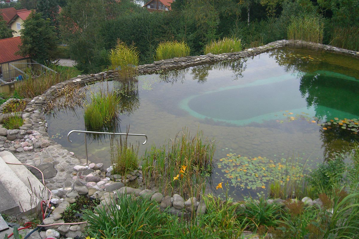 Ein natürlicher Swimmingpool mit klarem Wasser, entworfen von Maimann Gartengestaltung, ist von Felsen und Wasserpflanzen umgeben und fügt sich in die üppige grüne Landschaft ein. Ein Metallgeländer führt in den Pool, während im Hintergrund Häuser und Bäume zu sehen sind.